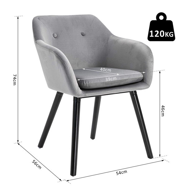 Rosalind Wheeler Mitzi Velvet Upholstered Side Chair in Grey & Reviews